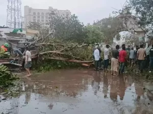 cyclone biparjoy leaves trail of destruction in gujarat weakens into cyclonic storm 1 - The Fourth