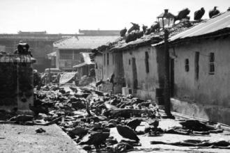 noakhali massacre - The Fourth