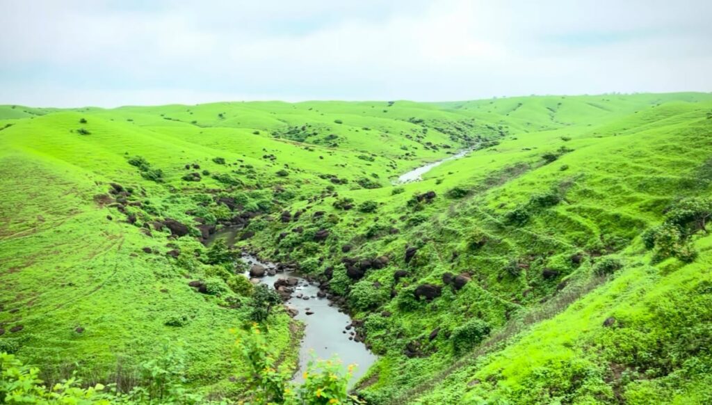 WhatsApp Image 2025 11 11 at 3.44.30 PM - The Fourth