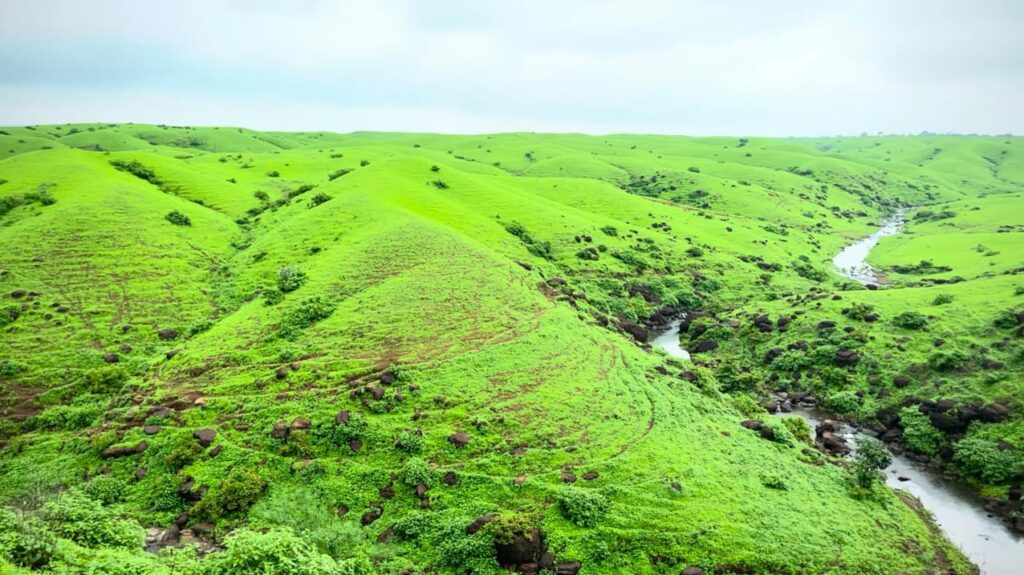 WhatsApp Image 2025 11 11 at 3.44.31 PM - The Fourth