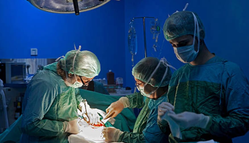 WhatsApp Image 2025 12 04 at 12.45.53 PM - The Fourth