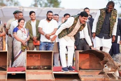 हलाली डैम में मुख्यमंत्री Dr Mohan Yadav ने छोड़े दुर्लभ गिद्ध