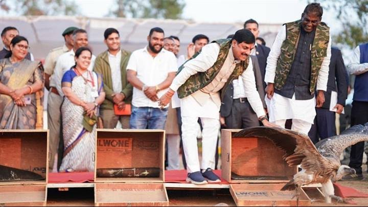 हलाली डैम में मुख्यमंत्री Dr Mohan Yadav ने छोड़े दुर्लभ गिद्ध