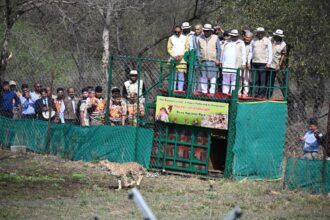 बधाई हो! Botswana से आए 9 नए चीते, भारत में अब कुल 48 चीते