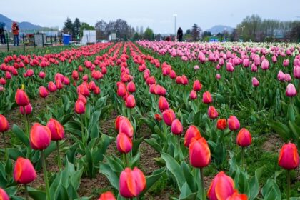 IMG 20260316 WA0015 - The Fourth