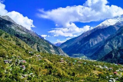 IMG 20260319 WA0007 - The Fourth