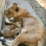 IMG 20260318 234229 - The Fourth