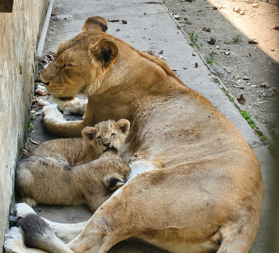 IMG 20260318 234229 - The Fourth