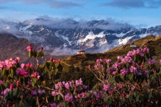 भारत का Mini Switzerland Chopta Valley प्रकृति का अद्भुत स्वर्ग