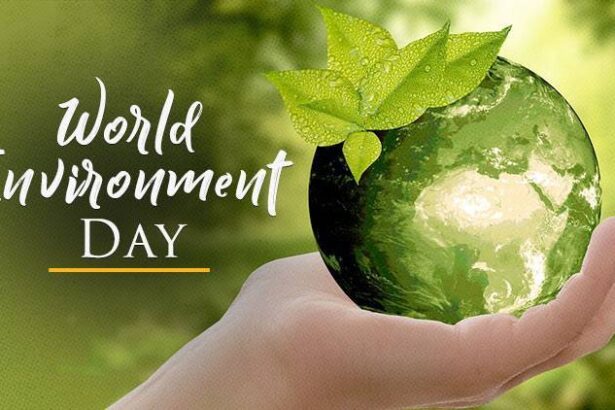 world-environment-day-kyu-puri-duniya-ke-liye-aham-he