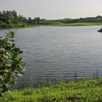 narsinghpur-me-jal-kranti-ki-nai-misaal