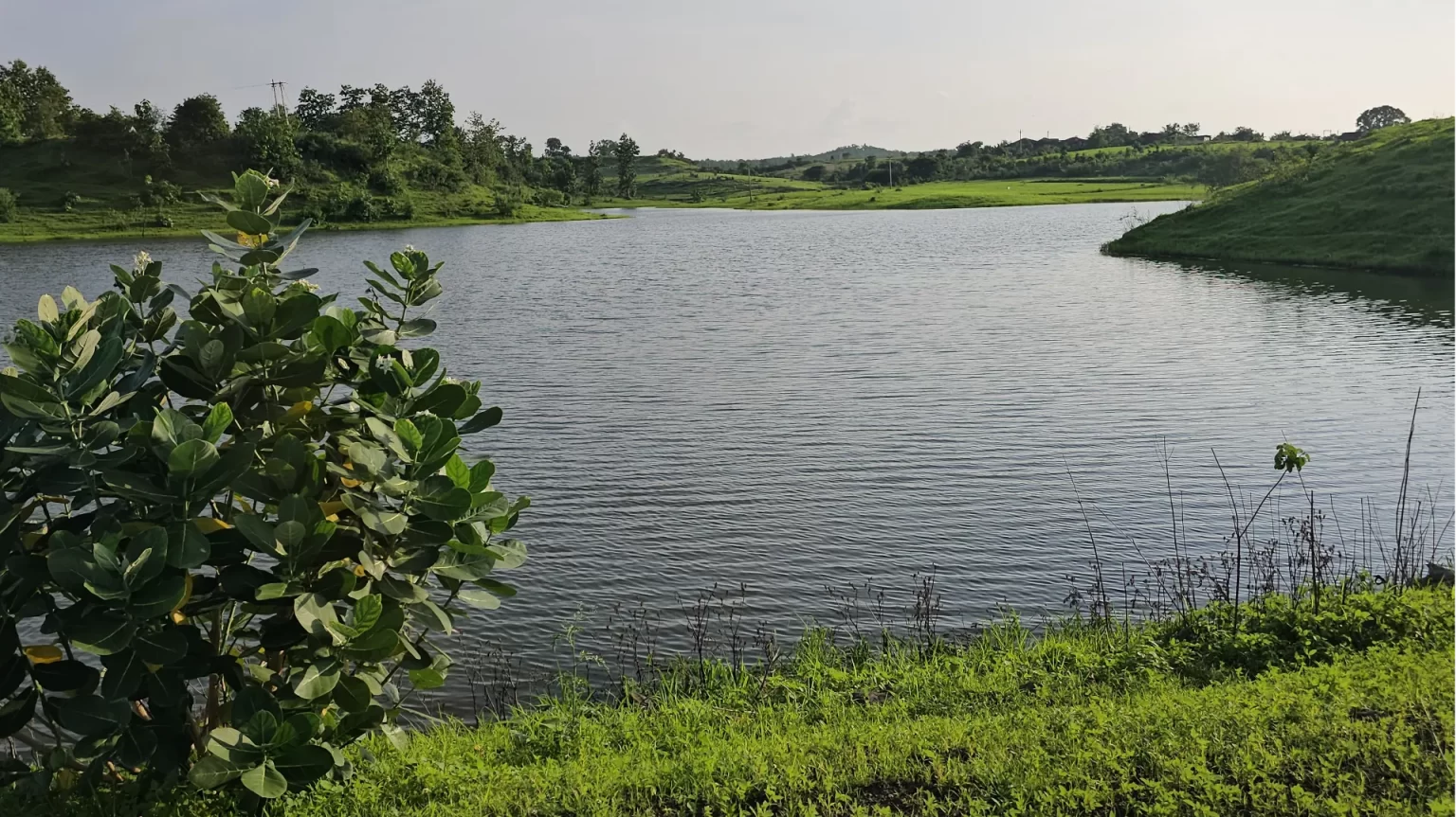 narsinghpur-me-jal-kranti-ki-nai-misaal