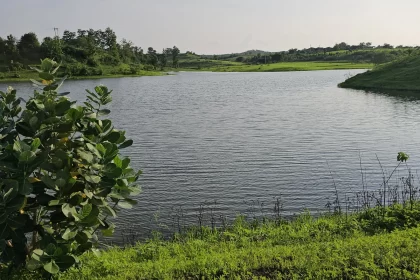 narsinghpur-me-jal-kranti-ki-nai-misaal